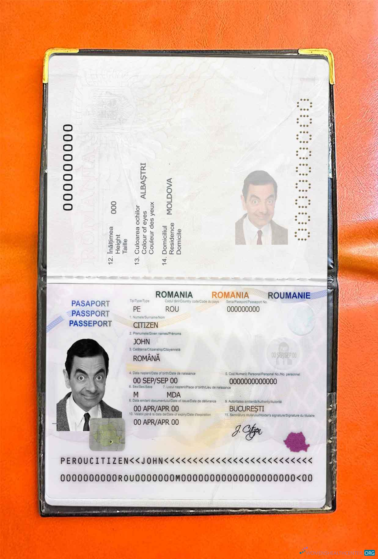 Download Romania passport photo look Photoshop template